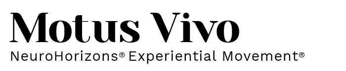 Motus Vivo